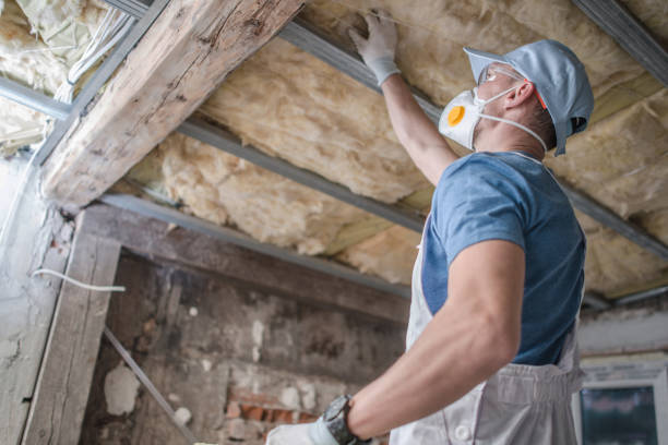 Best Residential Insulation in Brookridge, FL