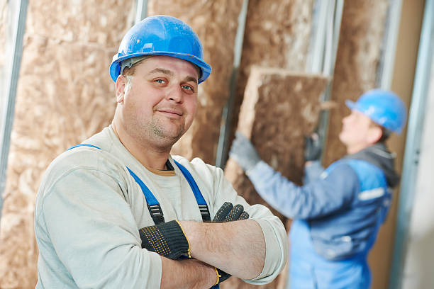Best Cellulose Insulation in Brookridge, FL