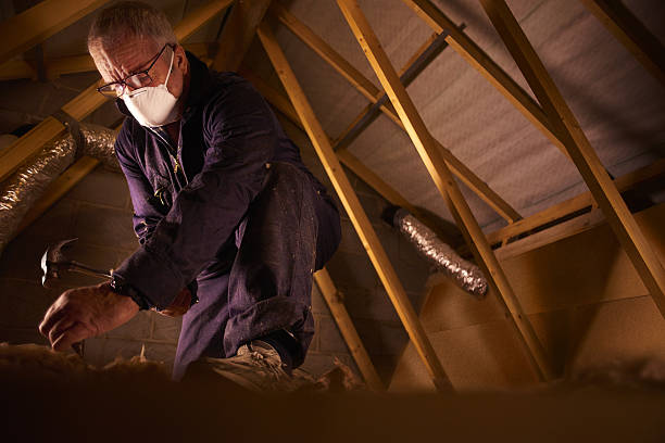 Best Cellulose Insulation in Brookridge, FL